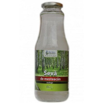 Seva de Mesteacan Bio fara Indulcitori, Dietetica (Pura) Bio Terra Energy 1L foto