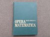 Opera matematica Simon Sanielevici