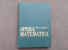 Opera matematica Simon Sanielevici