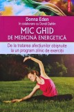 Cumpara ieftin Mic ghid de medicina energetica - 2014 - Donna Eden (XC182)