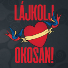 Lájkolj okosan! - A szex és a romantika élet-halál kérdései - Levi Lusko