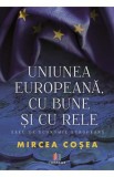 Uniunea Europeana, cu bune si cu rele - Mircea Cosea