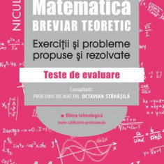 Matematica clasa XI-a - Breviar teoretic- Exercitii si probleme propuse si rezolvate - filiera tehnologica toate calificarile profeionale