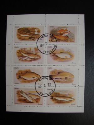 STAFFA BLOC PESTI foto