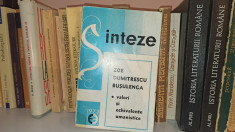 Valori si echivalente umanistice - Zoe Dumitrescu Busulenga foto