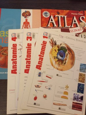 Atlas scolar de biologie/Atlas de anatomie/4 fise de anatomie foto