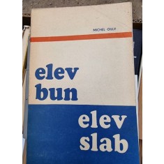 Michek Gilly - Elev bun, elev slab