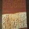 Dacian studies - Edited by Horea POP