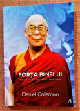 Forta binelui . Viziunea lui Dalai Lama pentru lumea de azi - Daniel Goleman, 2015, Curtea Veche