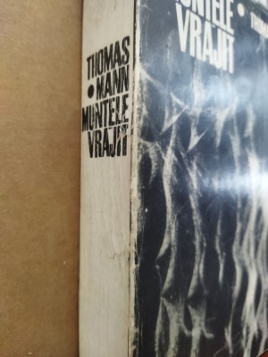 Thomas Mann - MUNTELE VRAJIT + LOTTE LA WEIMAR foto