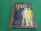 IGIENA *MANUAL PENTRU LICEE DE SPECIALITATE ANUL I *ALEXANDRU GHEORGHIU *1977 * 1