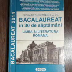 Pregatire Bacalaureat - Limba Romana - coordonator Mariana Mostoc