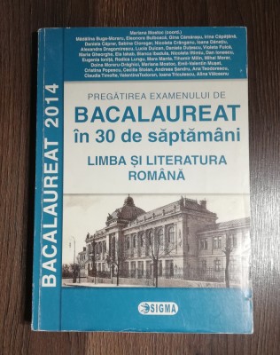 Pregatire Bacalaureat - Limba Romana - coordonator Mariana Mostoc foto