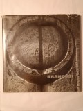 Br&acirc;ncuși: album fotografic de Nicolae Săndulescu (1965)
