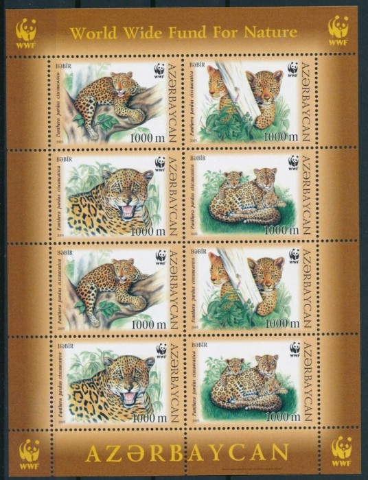 AZERBAIJAN 2005 WWF FAUNA PROTEJATA LEOPARZI CAUCAZIENI