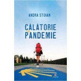 Calatorie in pandemie - Andra Stoian