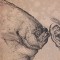 Calcanul &ndash; Gunter Grass