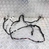 Cablaj ușă st&acirc;nga spate TESLA MODEL X 2016 OEM: 1032881-80-F,1064336-00-B 10645164