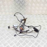 Cablaj Usa Stanga Spate VW Tiguan 5N (2007-2018) 5N0971693AD Original