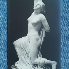 659 - Statuie clasica nud in Muzeul National Roma / carte postala interbelica