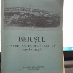 Beiusul, centru politic si de cultura romaneasca - Titus L. Rosu