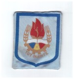Ecuson pionier albastru