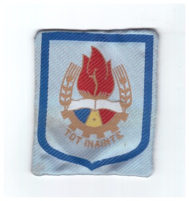 Ecuson pionier albastru foto