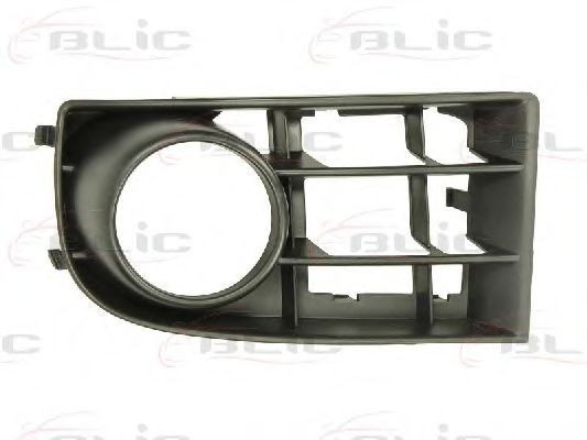 Grila ventilatie, bara protectie VW GOLF V (1K1) (2003 - 2009) BLIC 6502-07-9524917P