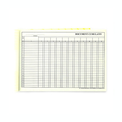 Document cumulativ, format A4, orientare vedere, 100 file foto