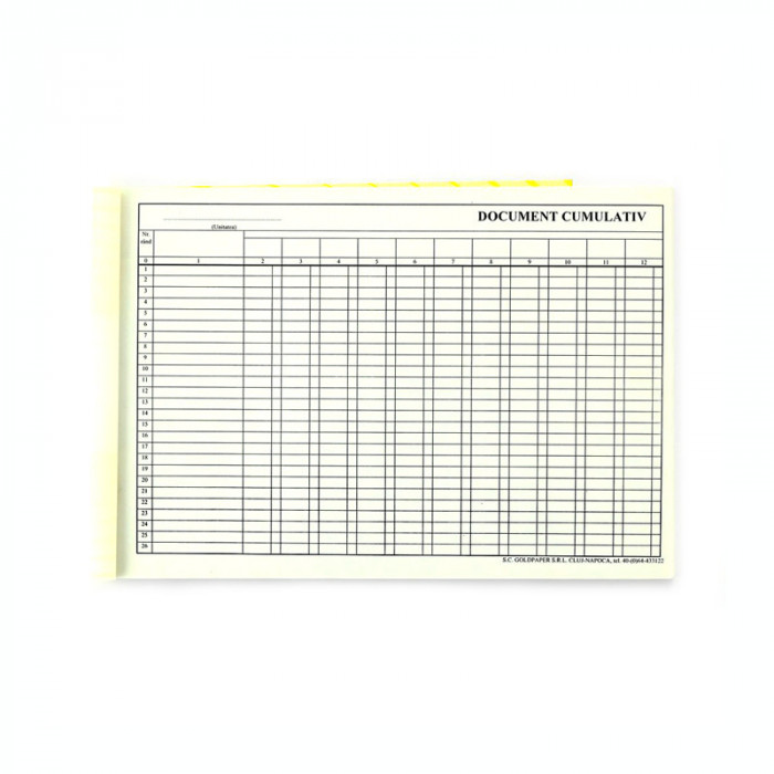 Document cumulativ, format A4, orientare vedere, 100 file