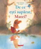 De ce esti suparat Matei? - Nemira