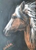 Carlo Riva (1910-2004)-Cap de cal, tablou &icirc;n pastel, Animale, Realism