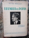 PETRU NEAGOE - DRUMURI CU POPAS