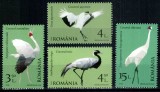 Romania 2018, LP 2177, Pasari, Cocori, seria, MNH! LP 32,40 lei, Natura, Nestampilat