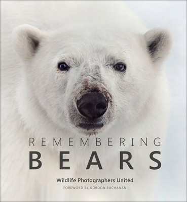 Remembering Bears foto