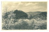 5120 - CISNADIOARA, Sibiu, Panorama, Romania - old postcard, real PHOTO - unused, Necirculata, Fotografie