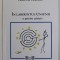 IN LABIRINTUL UNIUNII - O PRIVIRE CRITICA de CRISTINA VASILOIU , 2006