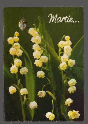 CPIB 20272 FELICITARE MARTISOR - GHIOCEI, TRIFOI foto