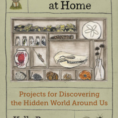 The Naturalist at Home: Projects for Discovering the Hidden World Around Us