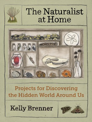 The Naturalist at Home: Projects for Discovering the Hidden World Around Us foto