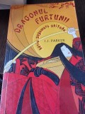 Dragonul furtunii - I.J. Parker