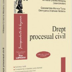 Drept procesual civil - Mihaela Cristina Mocanu