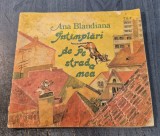 Intamplari de pe strada mea Ana Blandiana ilustratii Doina Botez