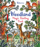 Cumpara ieftin Woodland Magic Painting Book Usborne, Usborne Books