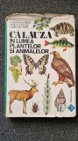 CALAUZA IN LUMEA PLANTELOR SI ANIMALELOR - Parvu, Godeanu