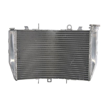 RADIATOR TRIUMPH SPEED TRIPLE 1050 2011 2015 foto