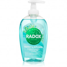 Radox Protect + Replenish Săpun lichid pentru mâini 250 ml