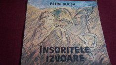 PETRE BUCSA - INSORITELE IZVOARE foto