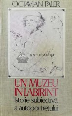 Un muzeu in labirint. Istorie subiectiva a autoportretului - Octavian Paler (Y50)