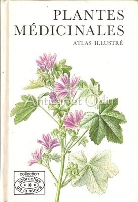Plantes Medicinales - Frantisek Stary, Vaclav Firasek foto